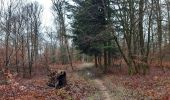 Randonnée Marche Bulgnéville - PR3 Bigneville étang des récollets . Contrexeville lac de conge - Photo 14