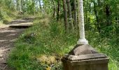 Trail Walking La Tour-d'Auvergne - Natzy - Photo 12