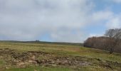 Trail Walking Nasbinals - Nasbinal St Chély d'Aubrac - Photo 16