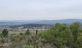 Trail Walking Le Muy - Le rocher de roquebrune  - Photo 8