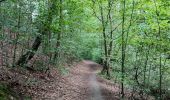 Percorso Marcia Pepinster - La promenade de Tribomont  - Photo 12