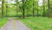 Percorso Marcia Beauraing - Felenne adeps terrain de foot - Photo 5