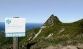 Percorso A piedi Mont-Dore - Le Puy de Sancy - Photo 3