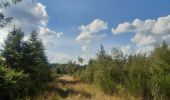 Tour Wandern Spa - petite balade autour de l aérodrome de Malchamps  - Photo 6