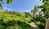 Trail Walking Le Grand-Bornand - BARGY: LE CHINAILLON - LAC DE LESSY - Photo 19