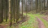 Trail Nordic walking Habscht - Grillplaz - Photo 2