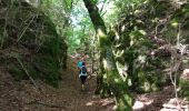 Randonnée Marche Lauroux - Labeil - Forêt de l'Escandorgue - Photo 19