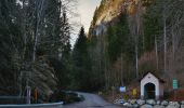 Tocht Te voet Sankt Lorenzen im Mürztal - Wanderweg - Photo 2