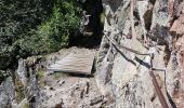 Trail Walking Le Valtin - Col de la Schlucht - sentier des Roches - Petit Honneck - Honneck - Trois Fours - Photo 1