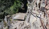 Percorso Marcia Le Valtin - Col de la Schlucht - sentier des Roches - Petit Honneck - Honneck - Trois Fours - Photo 1