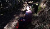 Trail Walking Saint-Martin-d'Uriage - Circuit des Marais- Les Seiglières - Photo 8