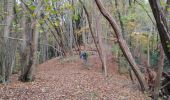 Tour Wandern Trooz - FORÊT VILLAGE  - Photo 14