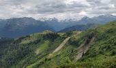 Excursión Senderismo Arâches-la-Frasse - Les crêtes des Carroz, l'Airon - Photo 15