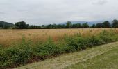 Randonnée Marche Touille - canal et lac de Touille4 - Photo 3