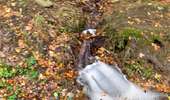 Trail Walking Baelen - 20231030 - Drossart 7.8 Km - Photo 5