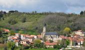 Percorso Marcia Teilhède - Teilhede_Puy_Grammont - Photo 1