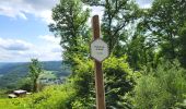 Trail Walking Vresse-sur-Semois - Allesur Semois 020625 - Photo 3
