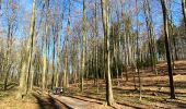Trail Walking Halle - Dans le Bois de Halles - Photo 1