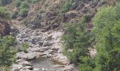 Excursión Senderismo Pont de Montvert - Sud Mont Lozère - Bédouès  - Photo 5