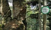 Tour Wandern Niederassel - planche des belles filles depuis auxelles haut  - Photo 1