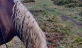 Tocht Paardrijden Urbeis - 2020-10-18 Rando CVA Climont Gresswiller - Photo 1