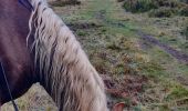Tour Reiten Urbeis - 2020-10-18 Rando CVA Climont Gresswiller - Photo 1