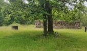 Trail Walking Ernolsheim-lès-Saverne - 2019-05-30 Marche Mt St Michel Ernolsheim les Saverne Reel - Photo 17