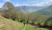 Randonnée Marche Lescun - Belvédère de Lescun - Photo 4