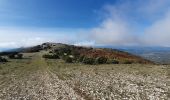 Tour Wandern Cabrières-d'Aigues - le Mourre Nègre - Photo 12