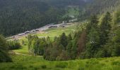 Tour Wandern Xonrupt-Longemer - retournemer hohnech schiesrothried blanchemer et lande  - Photo 5