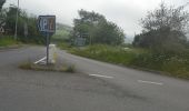 Tocht Te voet South Hams - Avon Estuary Walk - Photo 6