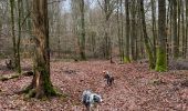 Tocht Stappen Meix-devant-Virton - Meix-devant-Virton - Photo 13