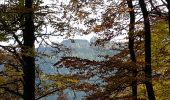 Tour Wandern Ottrott - Ottrott - châteaux d'Ottrott - Mont St Odile par le sentier des Merveilles - Photo 18