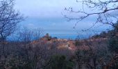 Randonnée Marche Laroque-des-Albères - autour de LAROQUE  - Photo 18