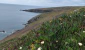 Trail Walking Audierne - Audierne , Pointe du Raz - Photo 5