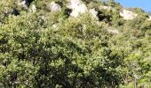 Trail Walking Mazaugues - le Caramy - Photo 12