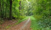 Trail Walking Auderghem - Oudergem - Rouge-Cloître - Etangs Mellaerts - Photo 4