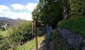 Trail Walking Oberbruck - Oberbruck Lagerwald - Photo 1