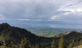 Trail Walking Lullin - Le Mont Forchat au départ du col des Arses - Photo 1