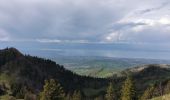 Trail Walking Lullin - Le Mont Forchat au départ du col des Arses - Photo 1