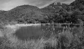 Tour Wandern Saint-Raphaël - Pk Col de Belle Barbe - Croupe Baptiston et retour - Photo 3