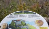 Tour Wandern Colmars - Colmar  - Photo 7