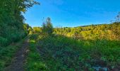 Tocht Stappen Gedinne - Marche Adeps à Gedinne - Photo 7