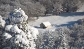 Tour Schneeschuhwandern Saint-Agnan-en-Vercors - Beure - Écondus - Photo 12