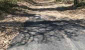 Tour Wandern Lagraulière - Lagauliere - Photo 2