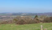 Trail Walking Durbuy - Heyd avec le chemin des crêtes  - Photo 12