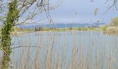 Tour Wandern Fréjus - etangs de villepey et collines - Photo 4