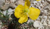 Tour Wandern Selva di Cadore - Pian Di Possoliva - Photo 1