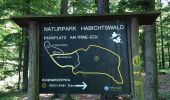 Trail On foot Baunatal - Baunatal-Großenritte, Rundweg 1 - Photo 9