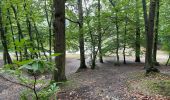 Randonnée Marche Meudon - la Forêt Domaniale de Meudon (2) - Photo 11